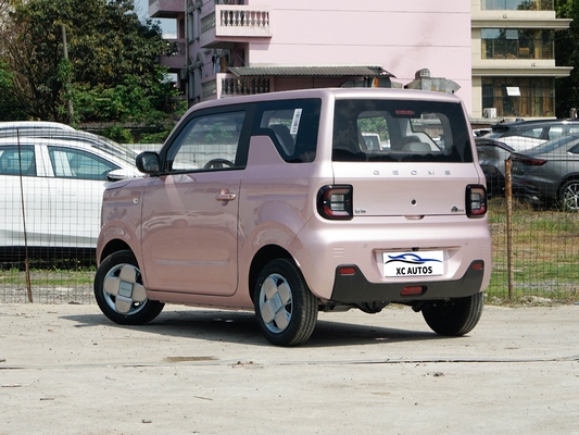 Geely Panda Mini Endurance Ev 200 km 4 posti e con sistema di freno a disco anteriore e posteriore