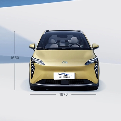 2023 Aion Y Series Electric Car 5 Door 5 Seat SUV con faro a LED e 100% elettrico
