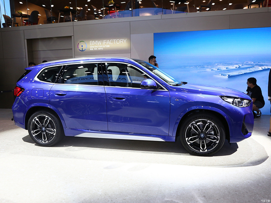 Sistema di sterzo elettrico e sospensione anteriore Macpherson IX1 EV Compact SUV Sport Car