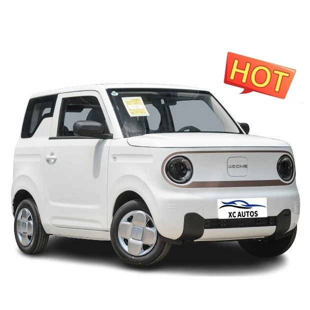 Geely Panda Mini EV Car 4 sedili con doppia sospensione posteriore Wish Bone 200Km di autonomia