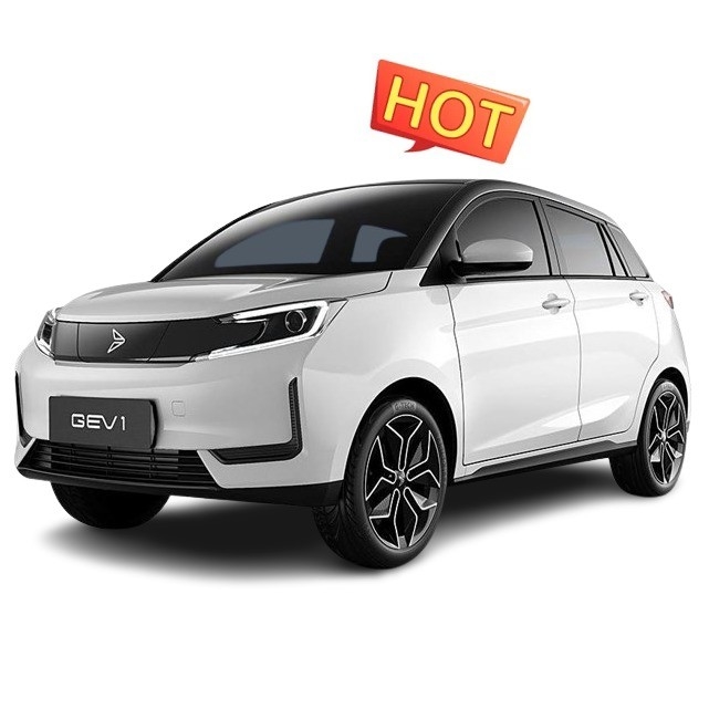 Xinte 2020 Qi Neng GEV 1 Euro VI 305KM 5 porte quattro posti con ricarica rapida